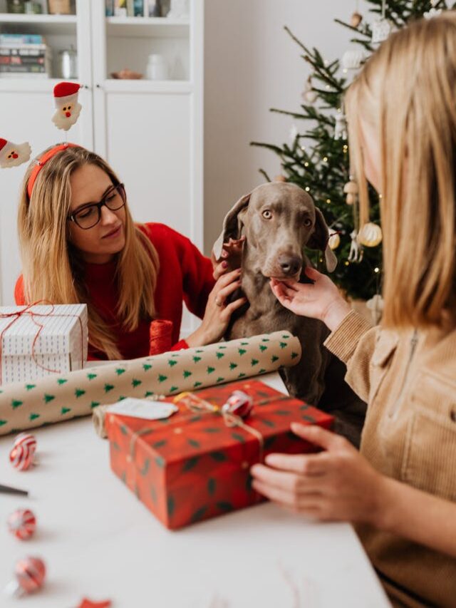 8 Festive Gifts For Your Furry Friends